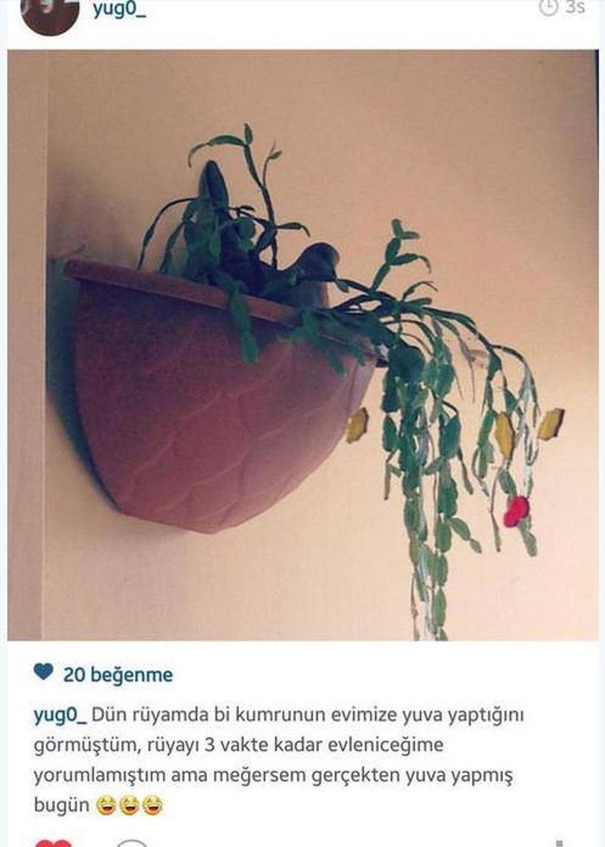 Gülme garantili ´caps´ler