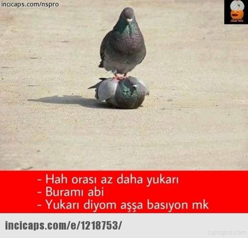 Gülme garantili ´caps´ler