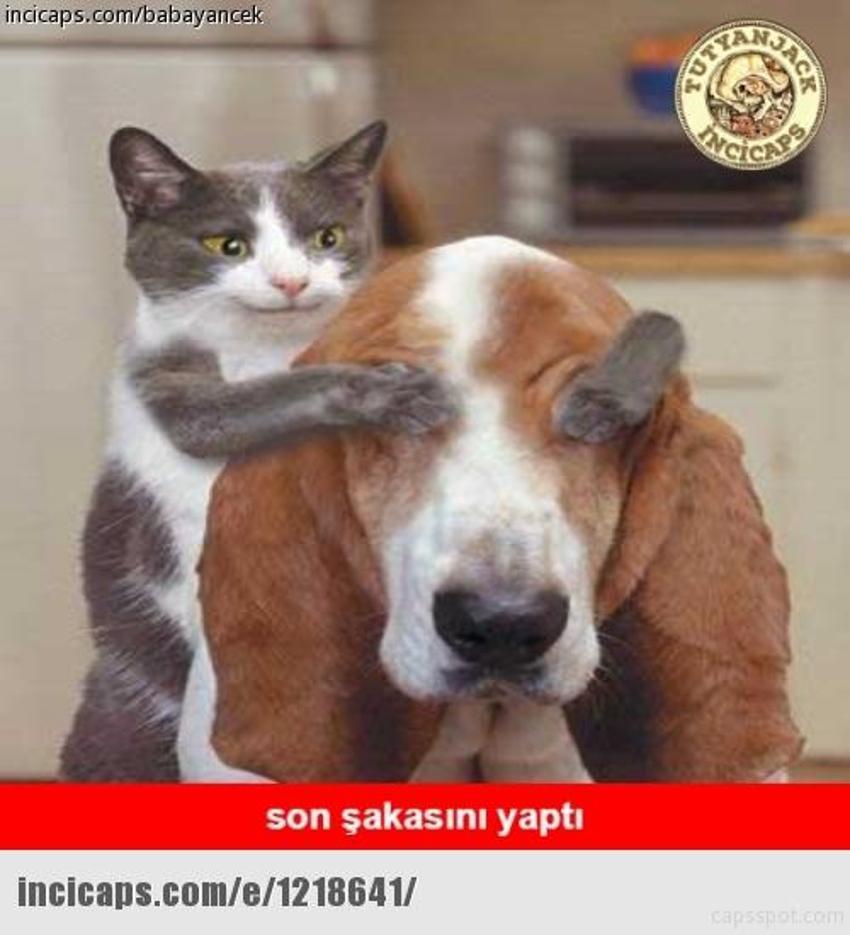 Gülme garantili ´caps´ler