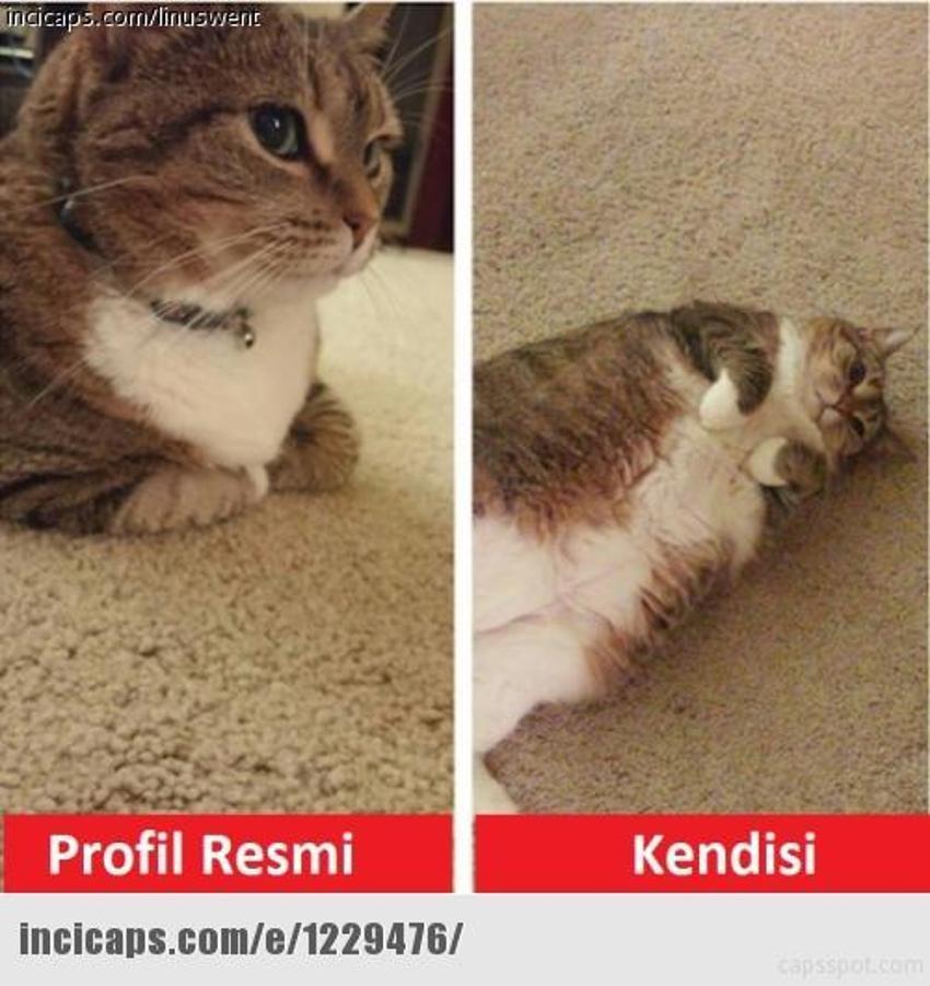Gülme garantili ´caps´ler