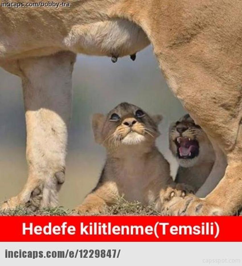 Gülme garantili ´caps´ler