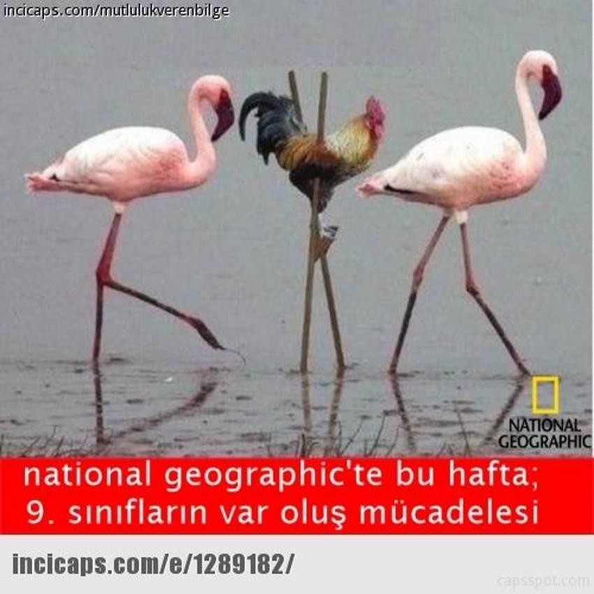 Gülme garantili ´caps´ler