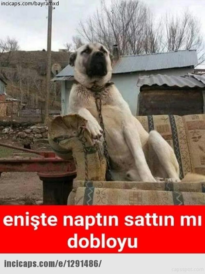 Gülme garantili ´caps´ler