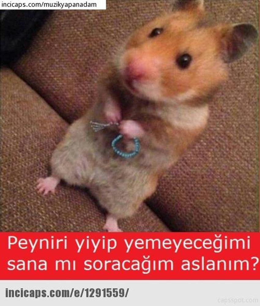 Gülme garantili ´caps´ler