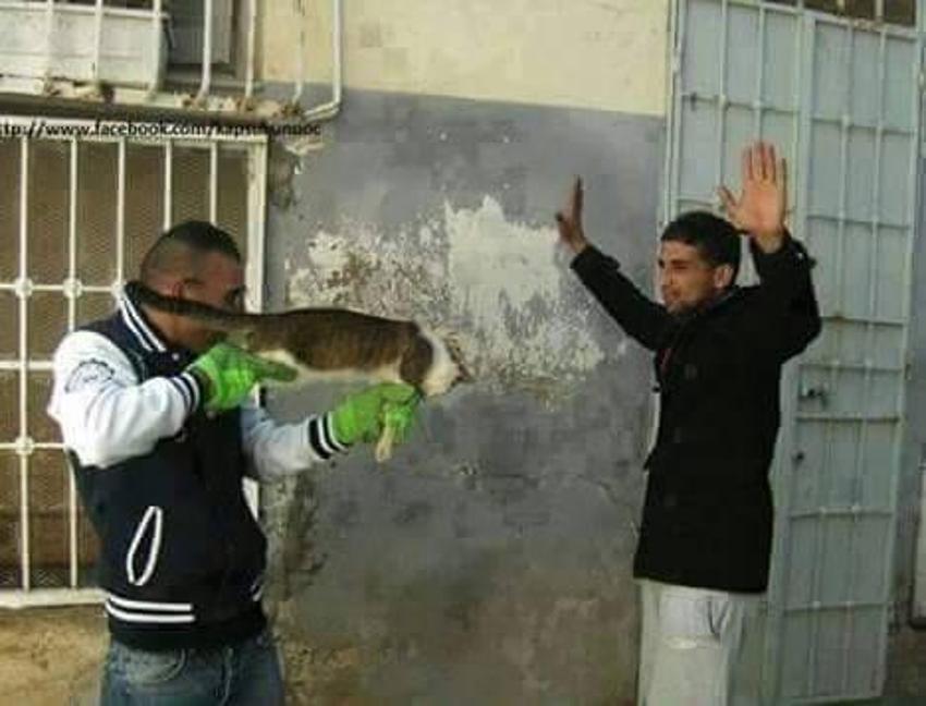 Sosyal medyanın "zalımları"