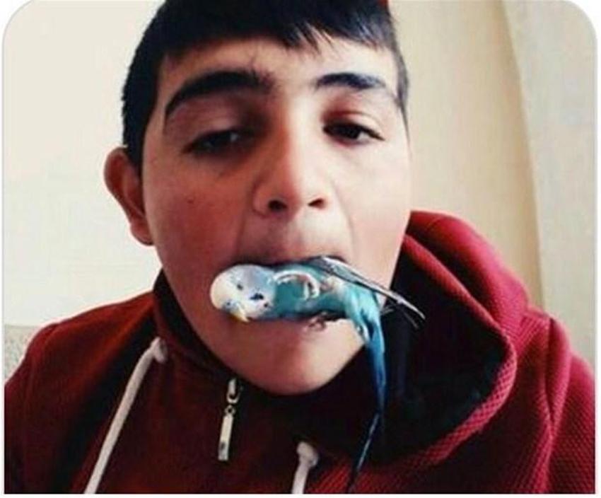 Sosyal medyanın "zalımları"