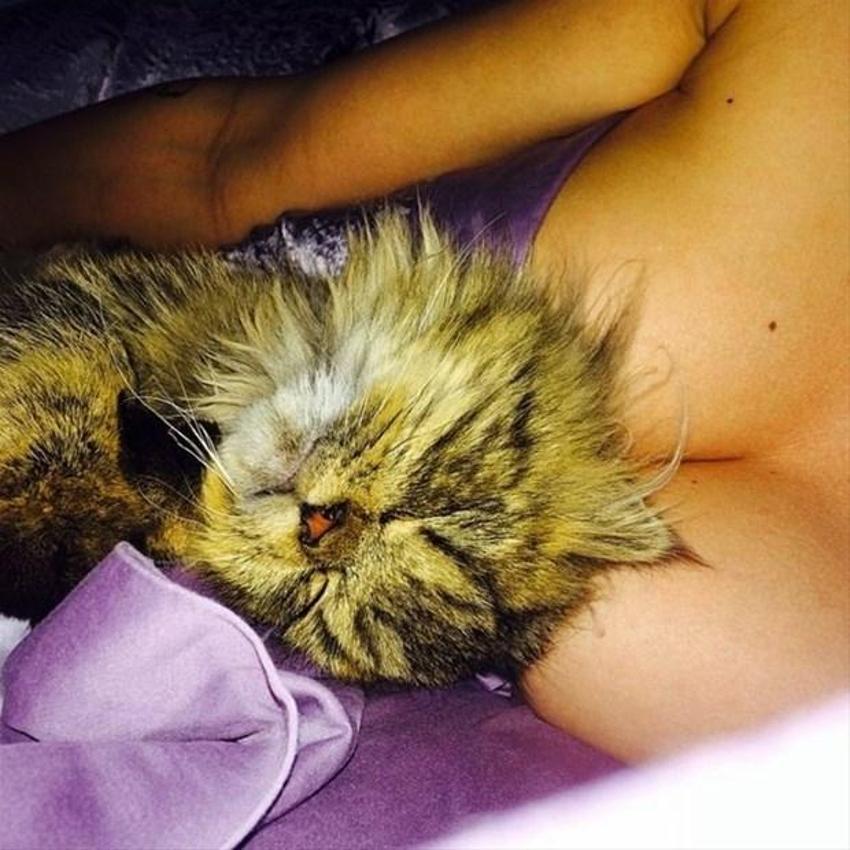Instagram'ın fenomeni Dan Bilzerian