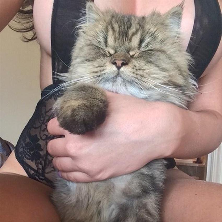 Instagram'ın fenomeni Dan Bilzerian