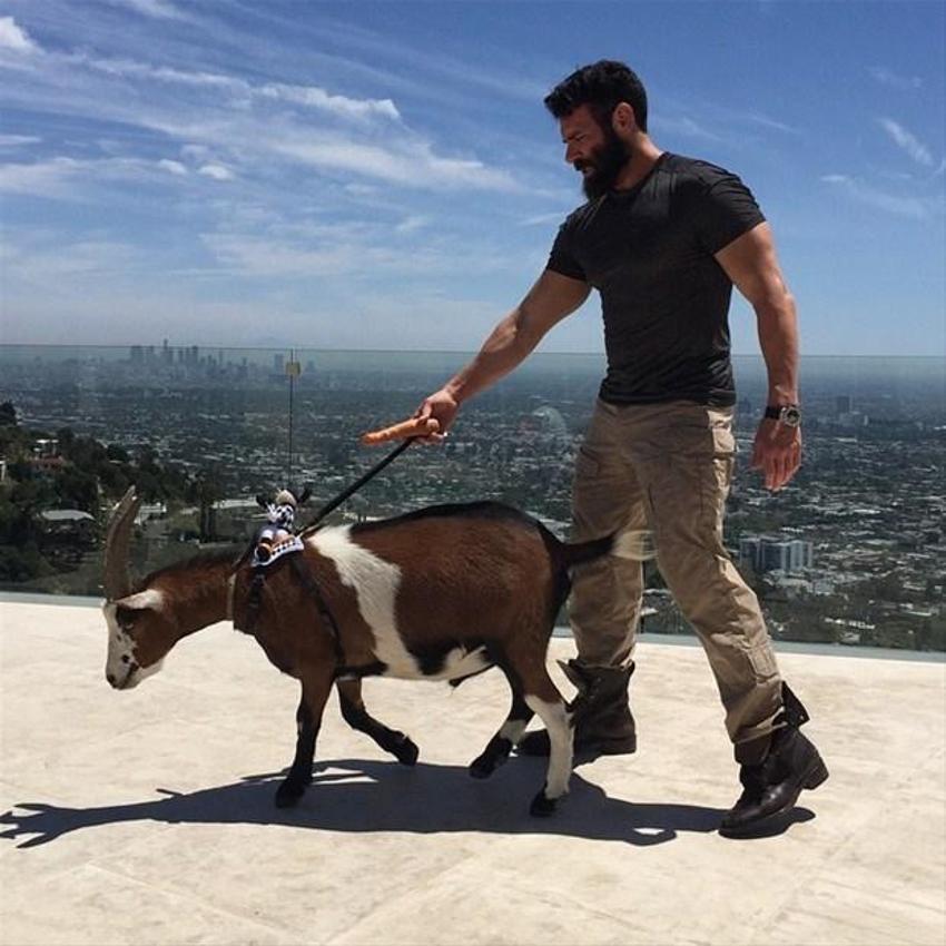 Instagram'ın fenomeni Dan Bilzerian