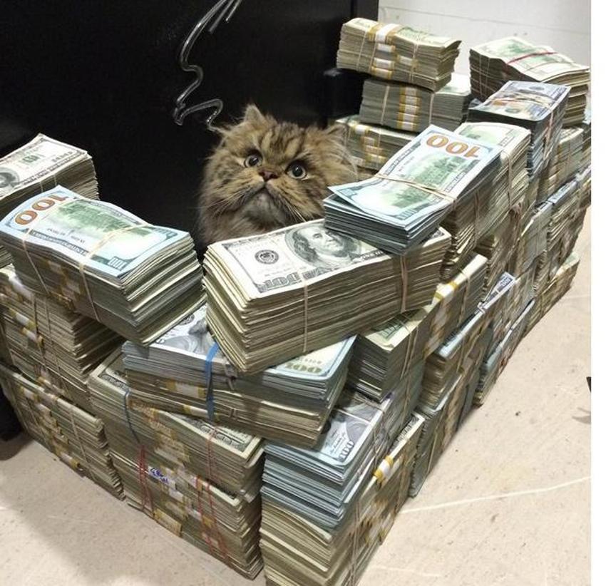 Instagram'ın fenomeni Dan Bilzerian