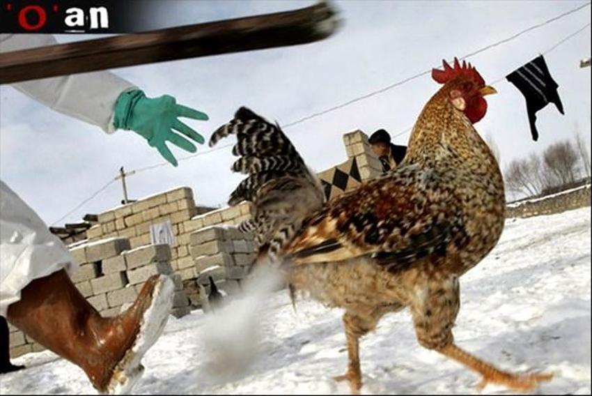 Aytunç Altındal´dan 10 teori