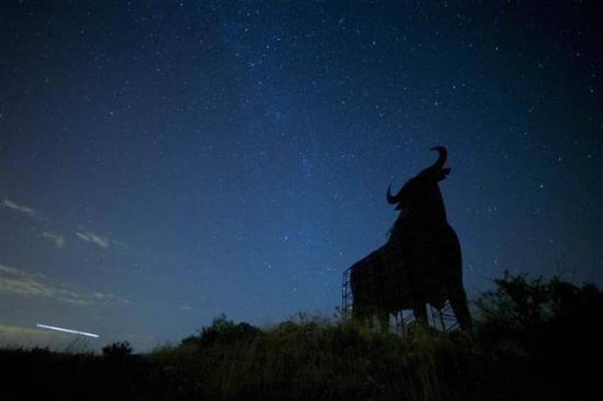 Perseid göktaşı yağmuru