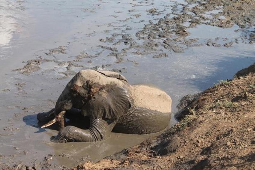 2012'nin doğa fotoğrafları