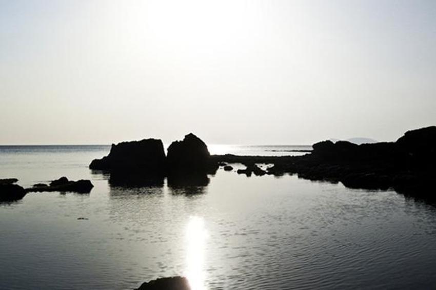 2012'nin doğa fotoğrafları