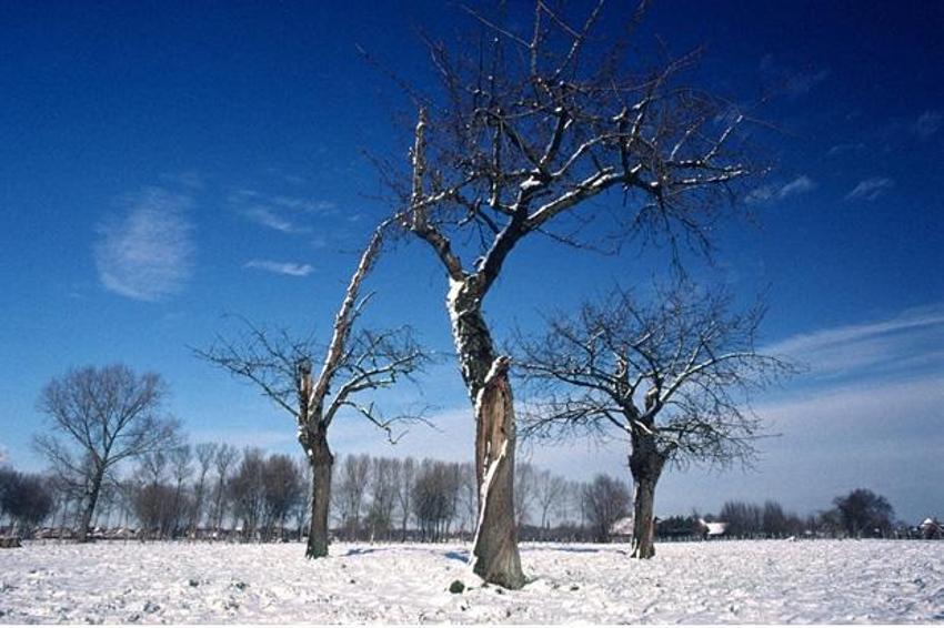 2012'nin doğa fotoğrafları