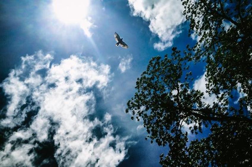 2012'nin doğa fotoğrafları