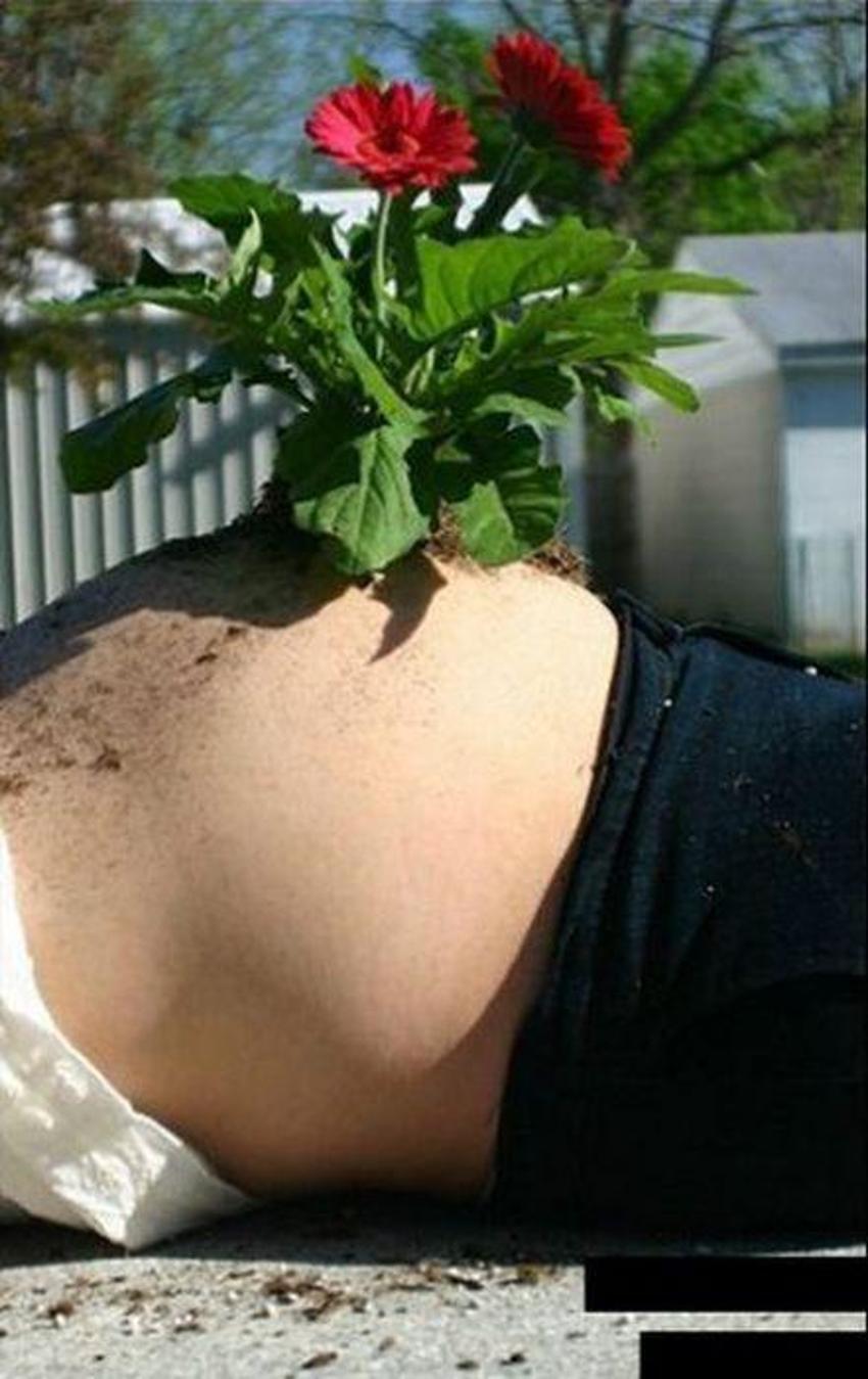 Amatör ve acemi fotoğrafçılık