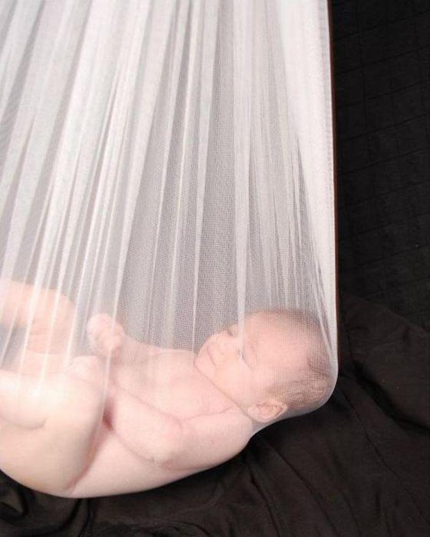 Amatör ve acemi fotoğrafçılık