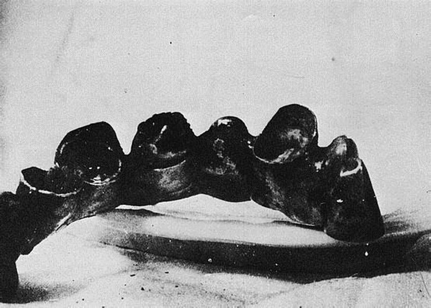 Adolf Hitler