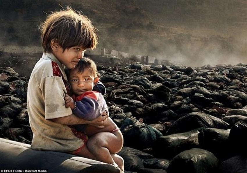 Yılın doğa fotoğrafları ödülleri
