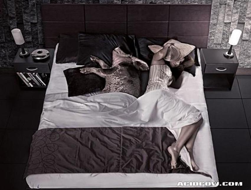 Komik ve seksi fotoğraflar