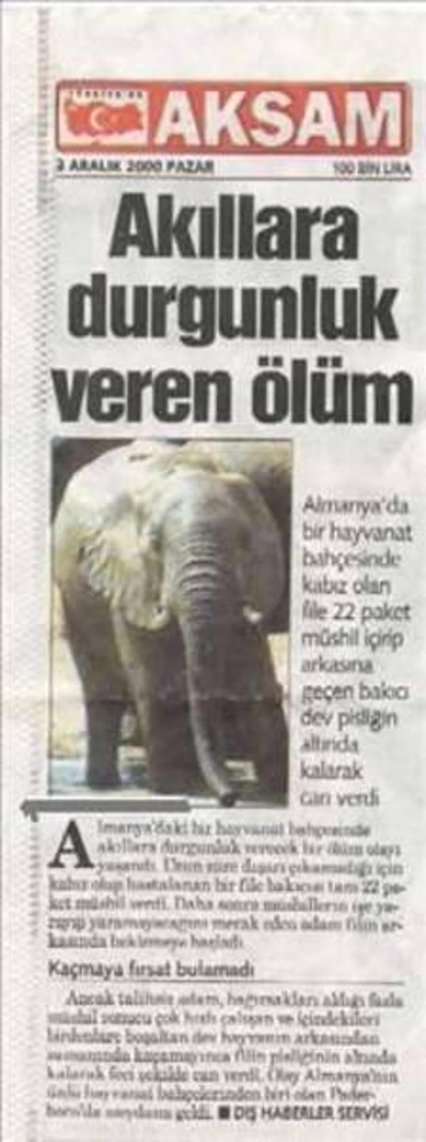 Yurdum insanından güldüren kareler!