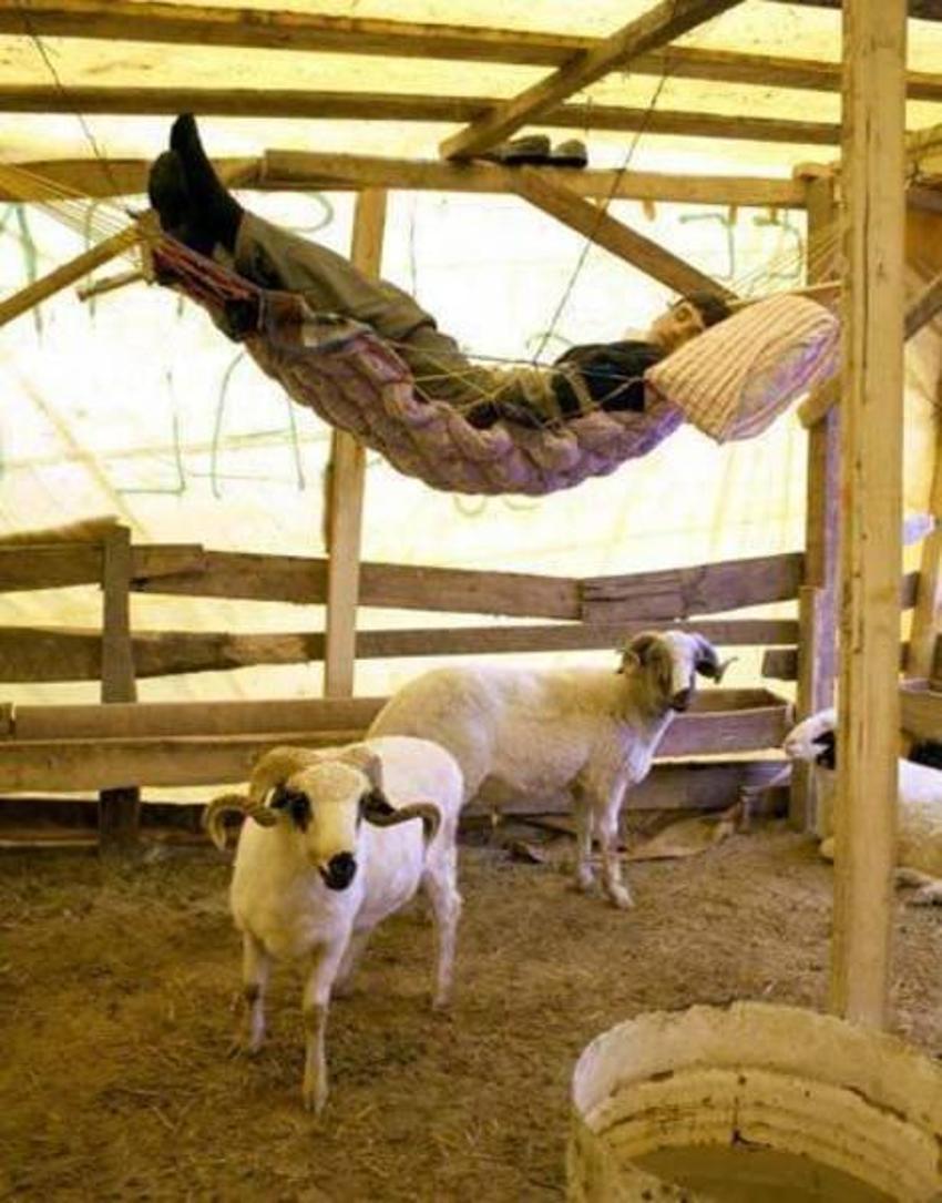 Yurdum insanından güldüren kareler!