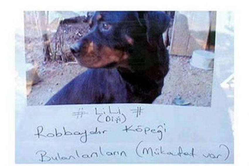 Yurdum insanından güldüren kareler!