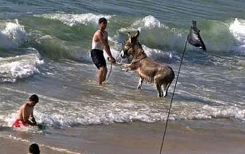 Yurdum insanından güldüren kareler!