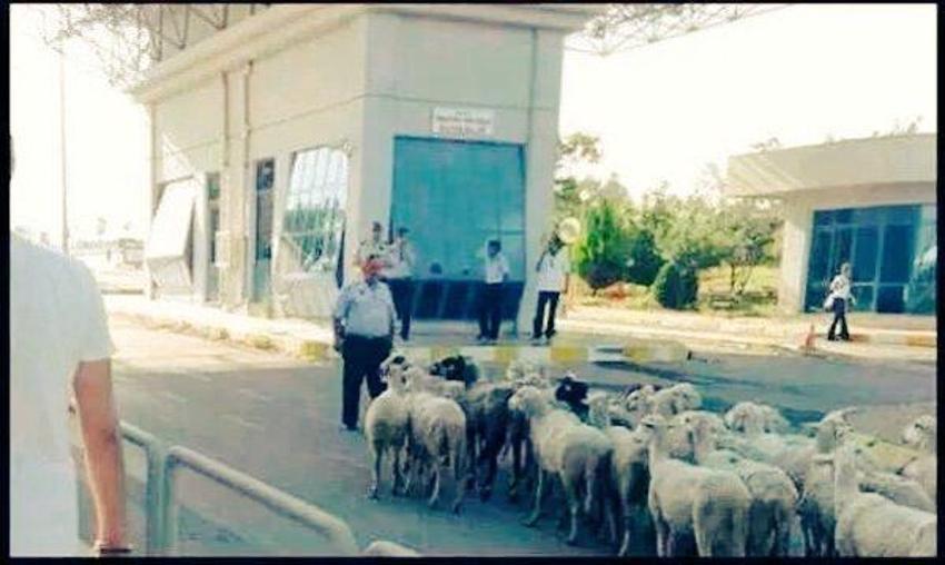 Yurdum insanından güldüren kareler!