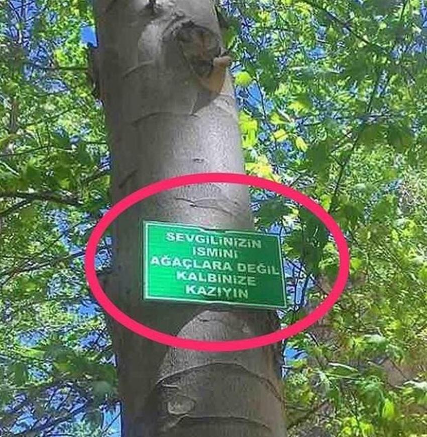 Yurdum insanından güldüren kareler!