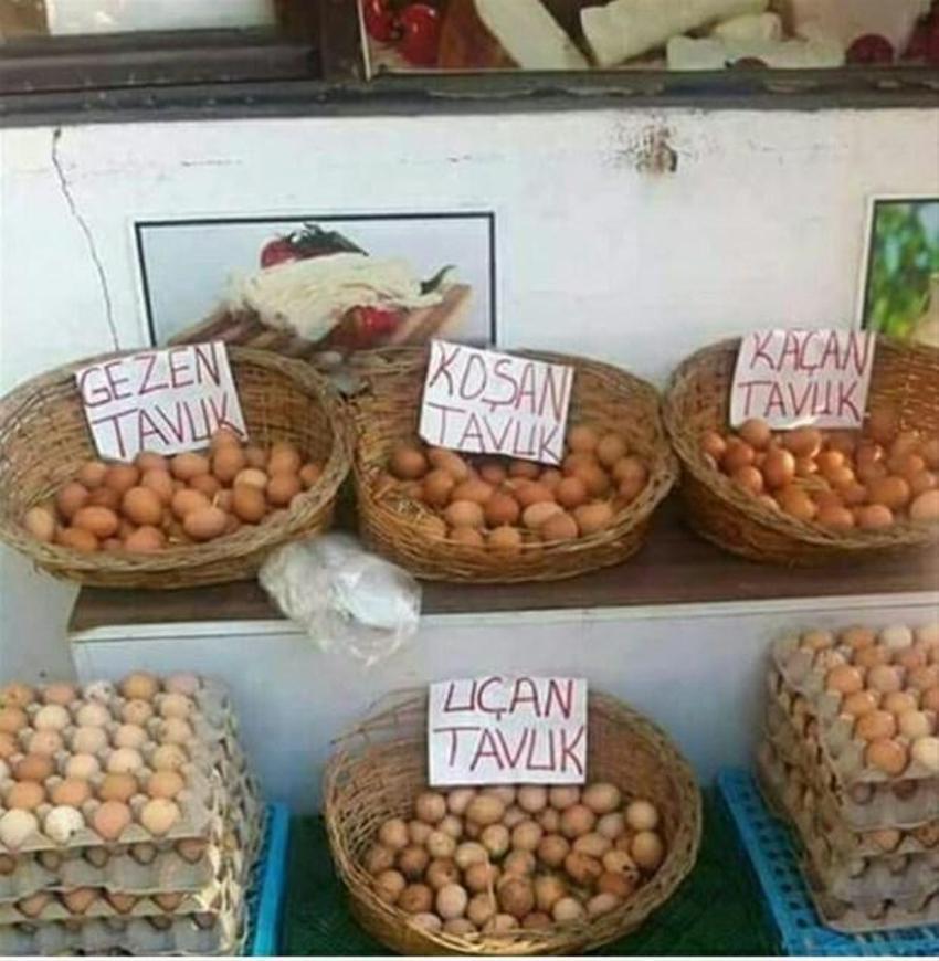 Yurdum insanından güldüren kareler!