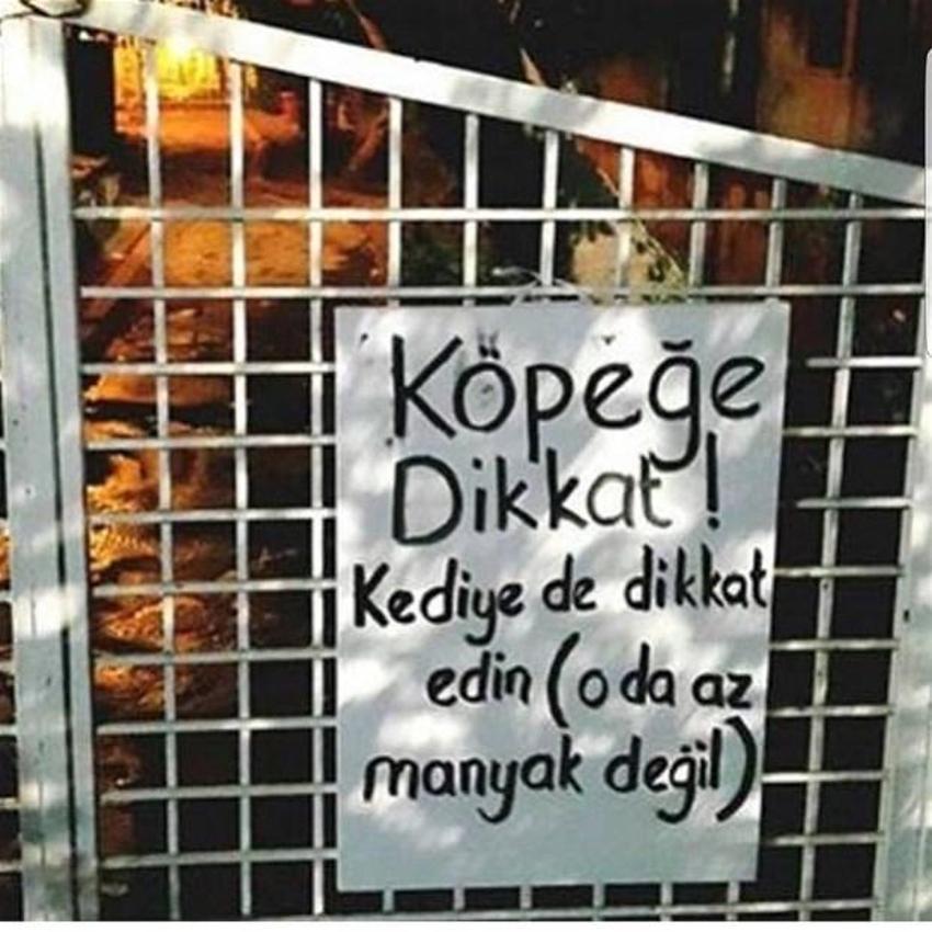 Yurdum insanından güldüren kareler!