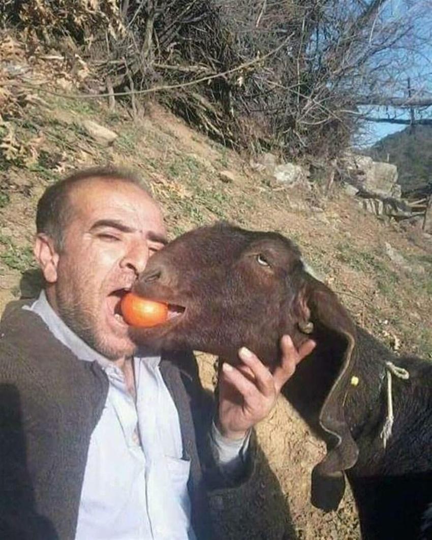 Yurdum insanından güldüren kareler!