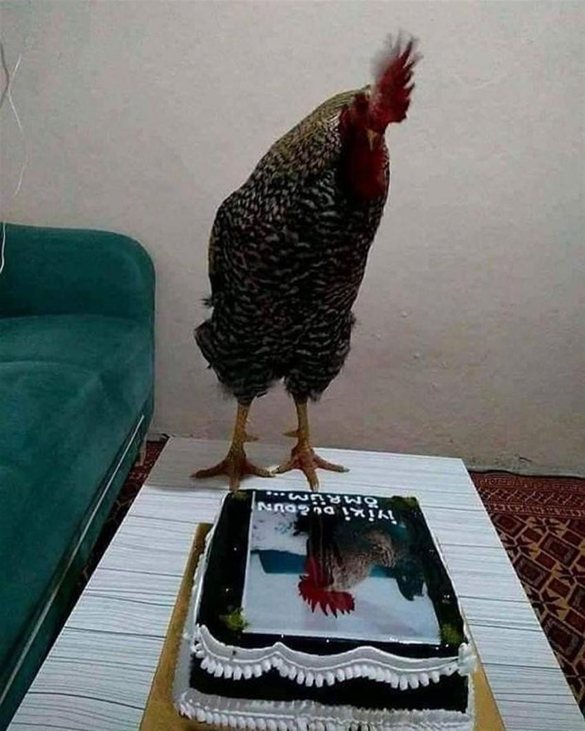 Yurdum insanından güldüren kareler!