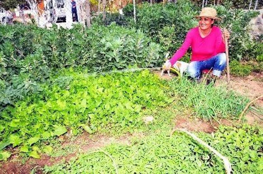 İşte Serap Ezgü'nün köy yaşamı