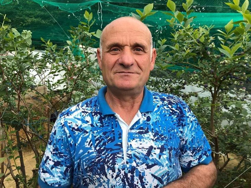Deneme amaçlı 'mavi yemiş' üretildi yıllık 100 bin TL kazandırdı...