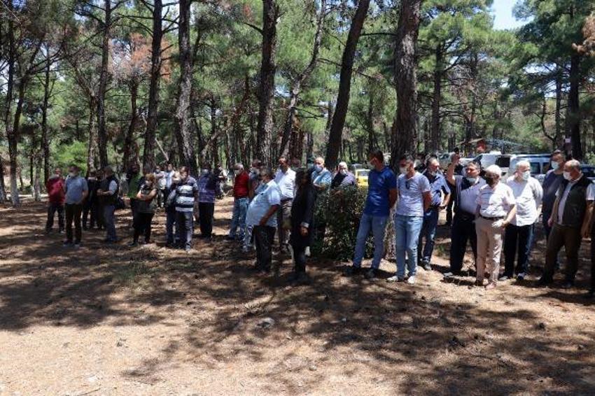 Kilosu 2 bin 500 lira! Ormandan toplanıyor...