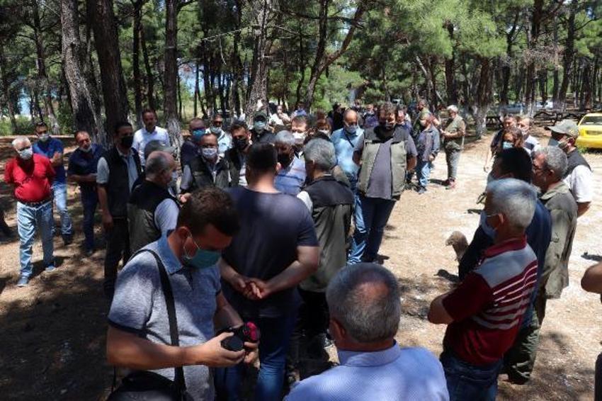Kilosu 2 bin 500 lira! Ormandan toplanıyor...