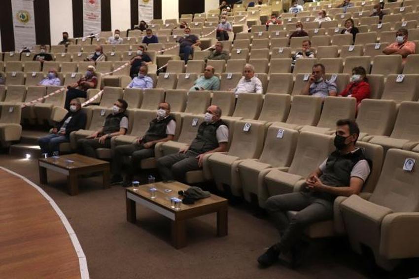 Kilosu 2 bin 500 lira! Ormandan toplanıyor...