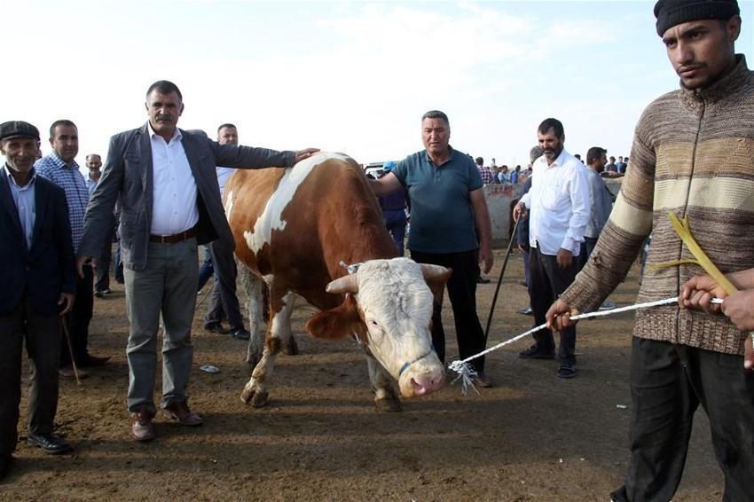 Kurban Bayramı yasakları belli oldu! Tek tek açıklandı! 15 gün...
