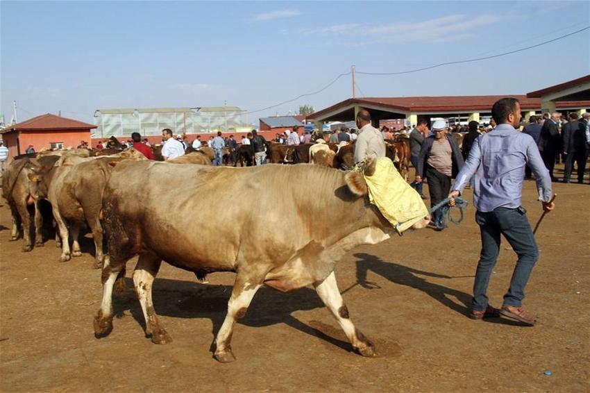Kurban Bayramı yasakları belli oldu! Tek tek açıklandı! 15 gün...
