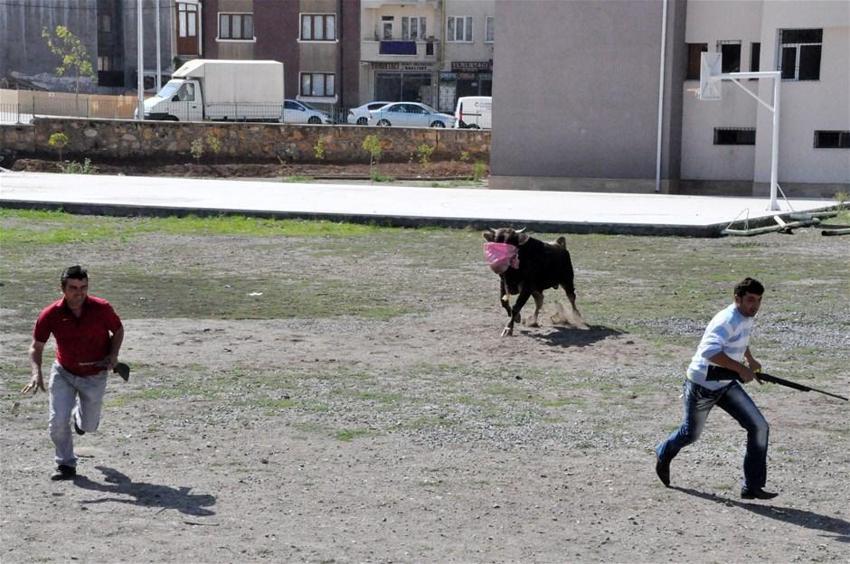 Kurban Bayramı yasakları belli oldu! Tek tek açıklandı! 15 gün...