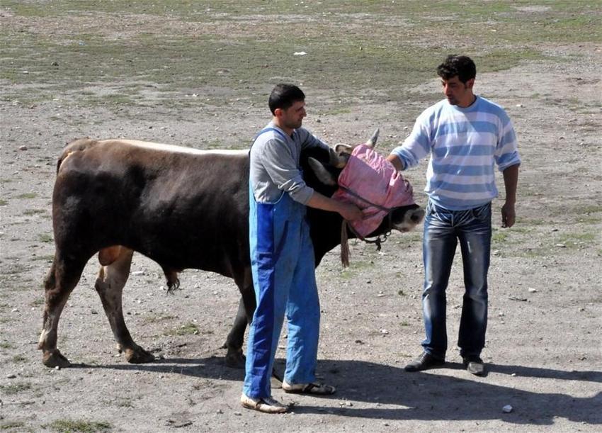 Kurban Bayramı yasakları belli oldu! Tek tek açıklandı! 15 gün...