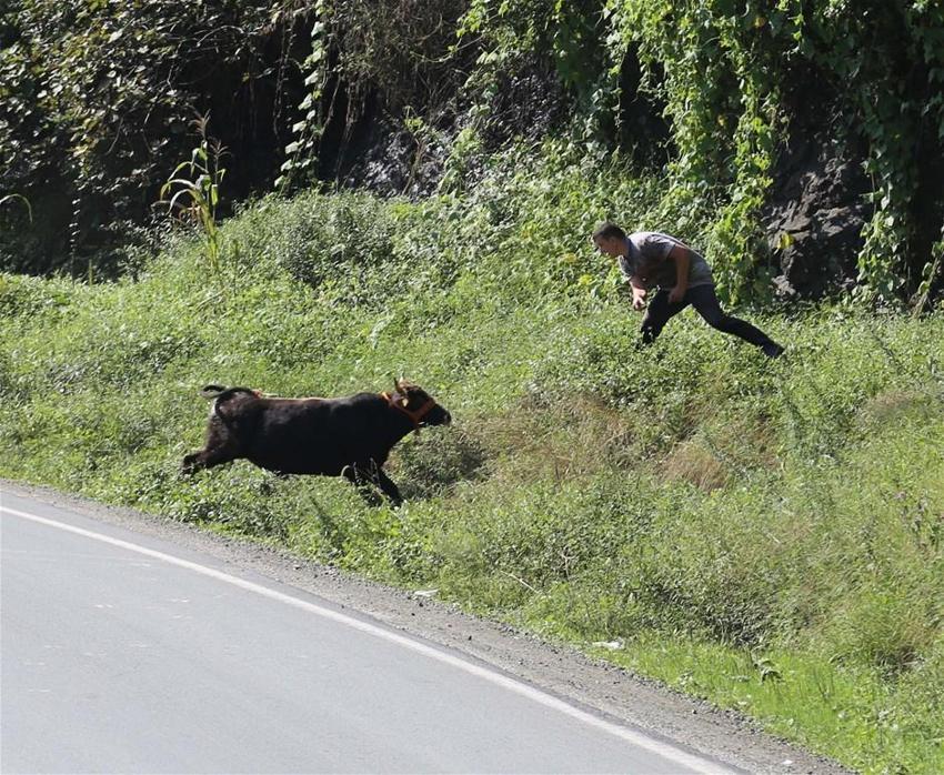 Kurban Bayramı yasakları belli oldu! Tek tek açıklandı! 15 gün...