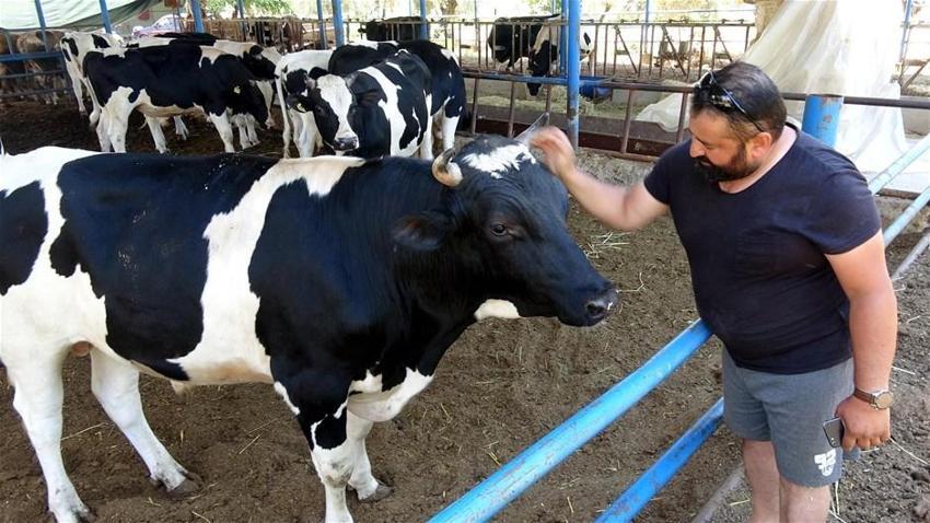 Kurban Bayramı yasakları belli oldu! Tek tek açıklandı! 15 gün...