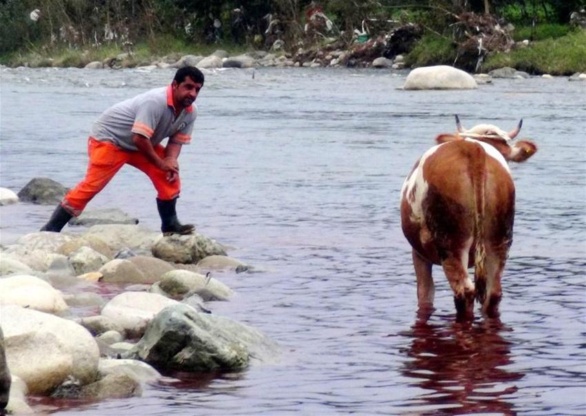 Kurban Bayramı yasakları belli oldu! Tek tek açıklandı! 15 gün...