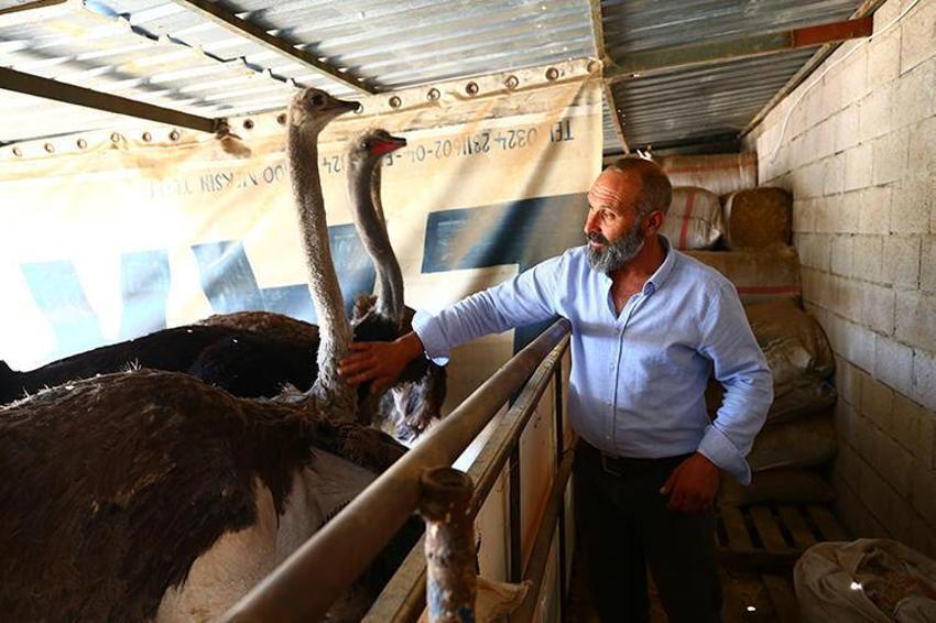 Paraya para demiyor! Yılda 300 bin lira kazandırıyor...