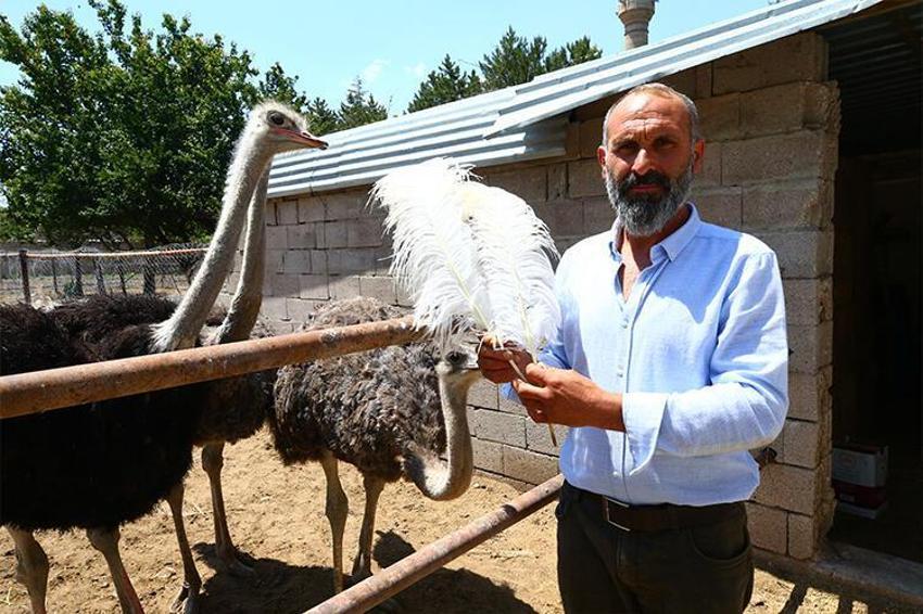 Paraya para demiyor! Yılda 300 bin lira kazandırıyor...