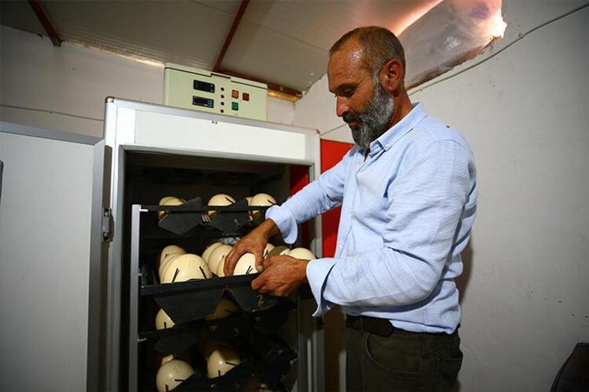 Paraya para demiyor! Yılda 300 bin lira kazandırıyor...